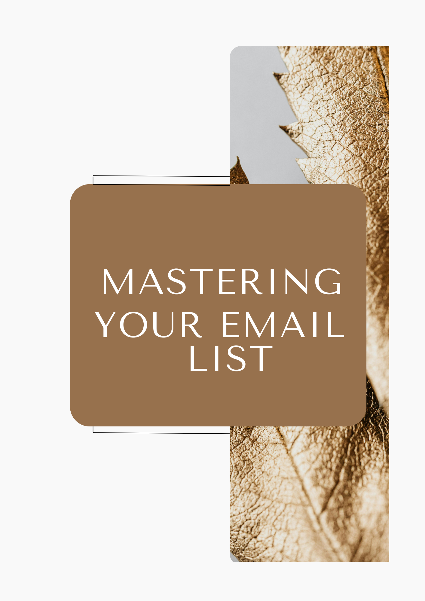 Mastering Your E-mail list